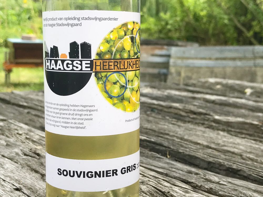 Haagse Heerlijkheid souvignier gris 2017 Haagse Heerlijkheid souvignier gris 2017
