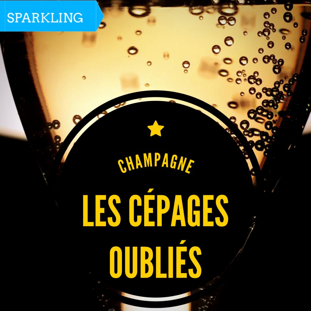 Champagne – Les cépages oubliés Champagne - Les cépages oubliés