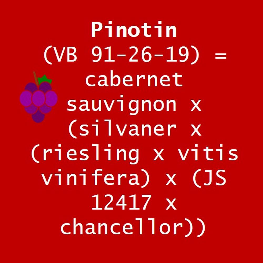 pinotin pinotin