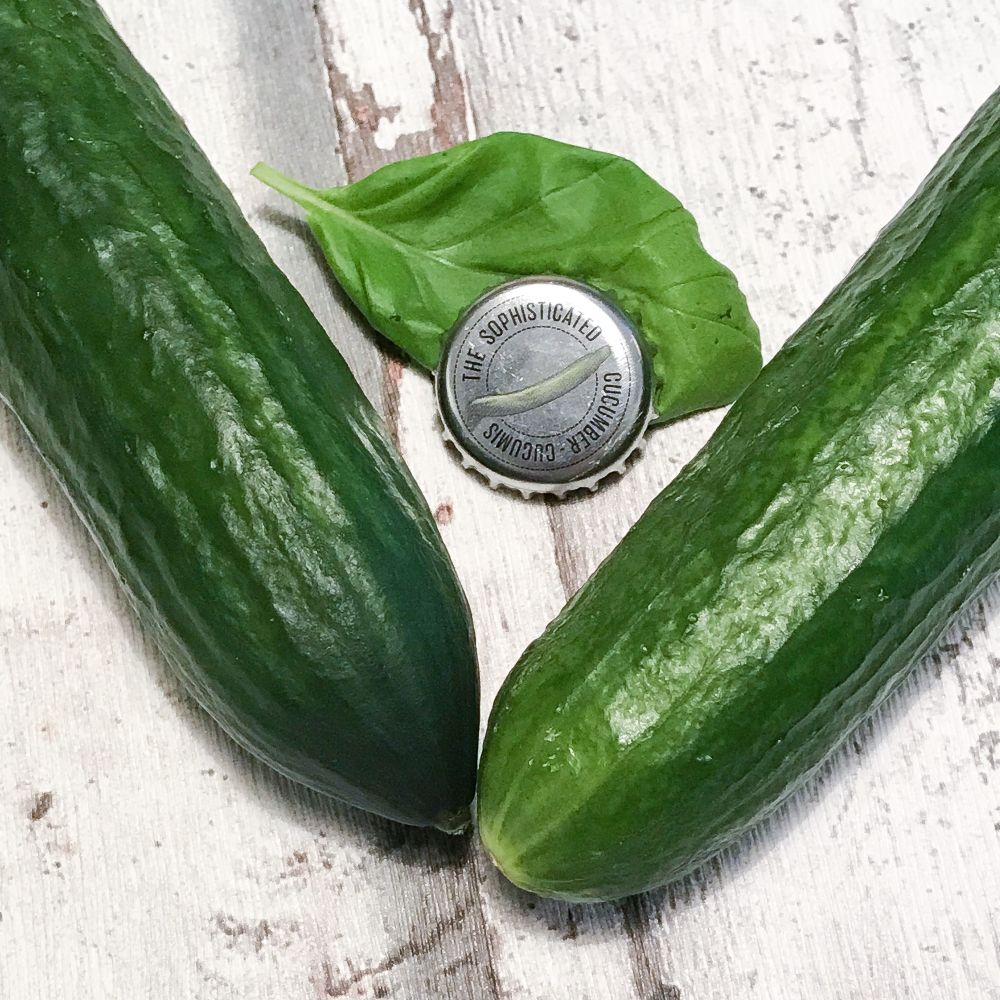 Cucumis met komkommer en basilicum