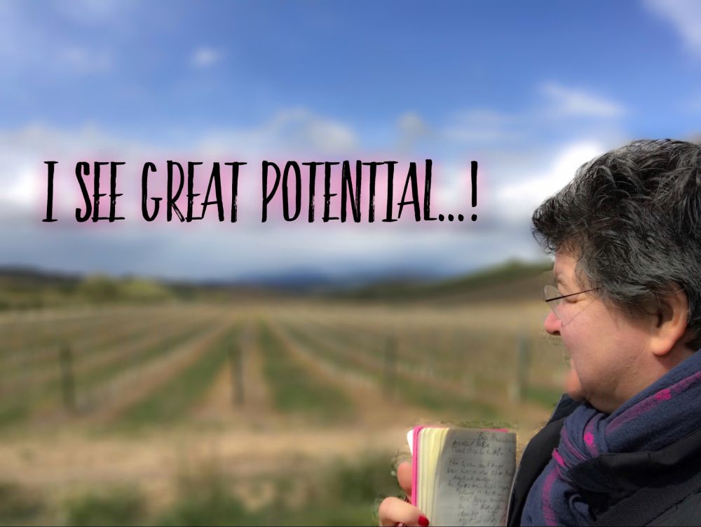 Navarra – I see great potential Navarra - I see great potential