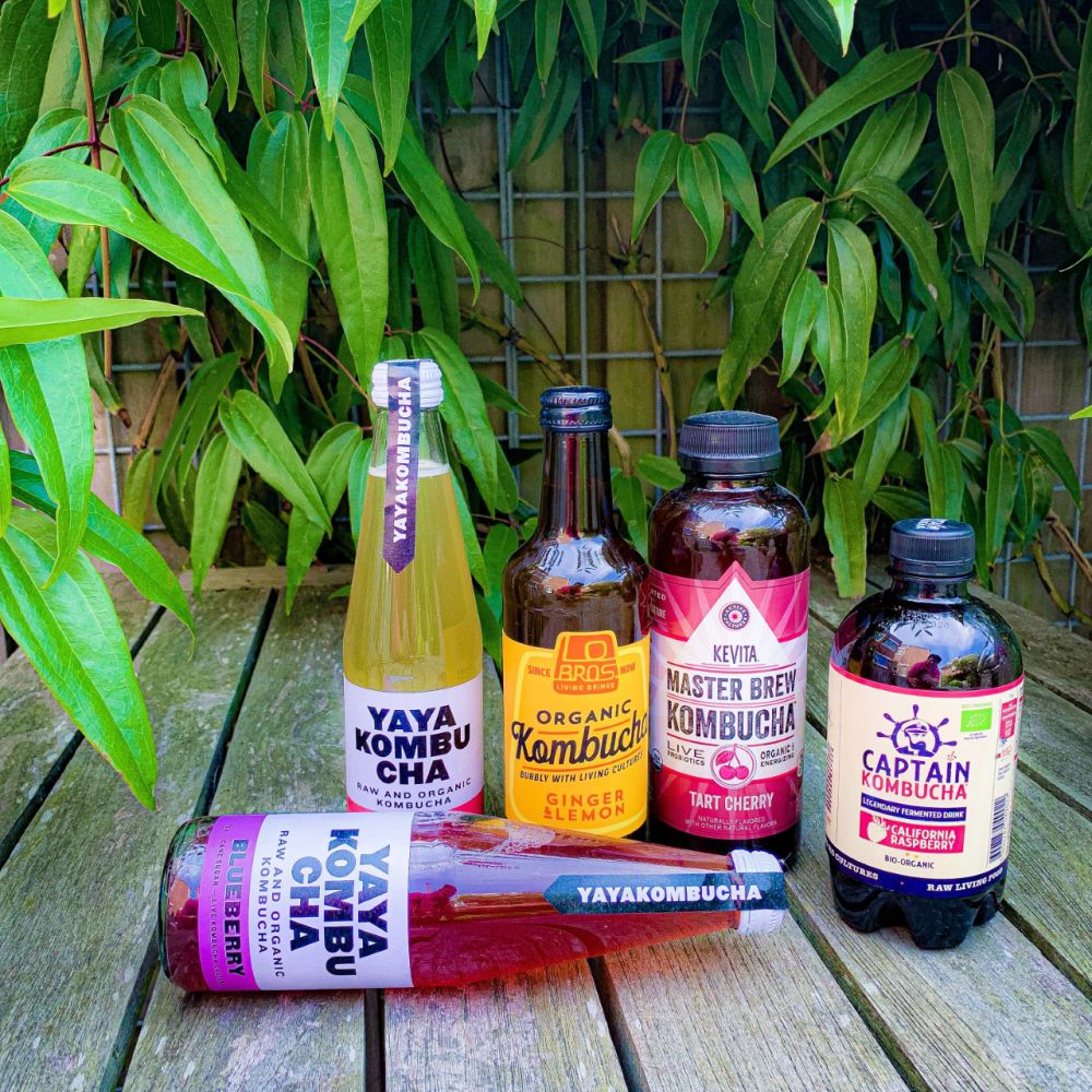 Kombucha Kombucha