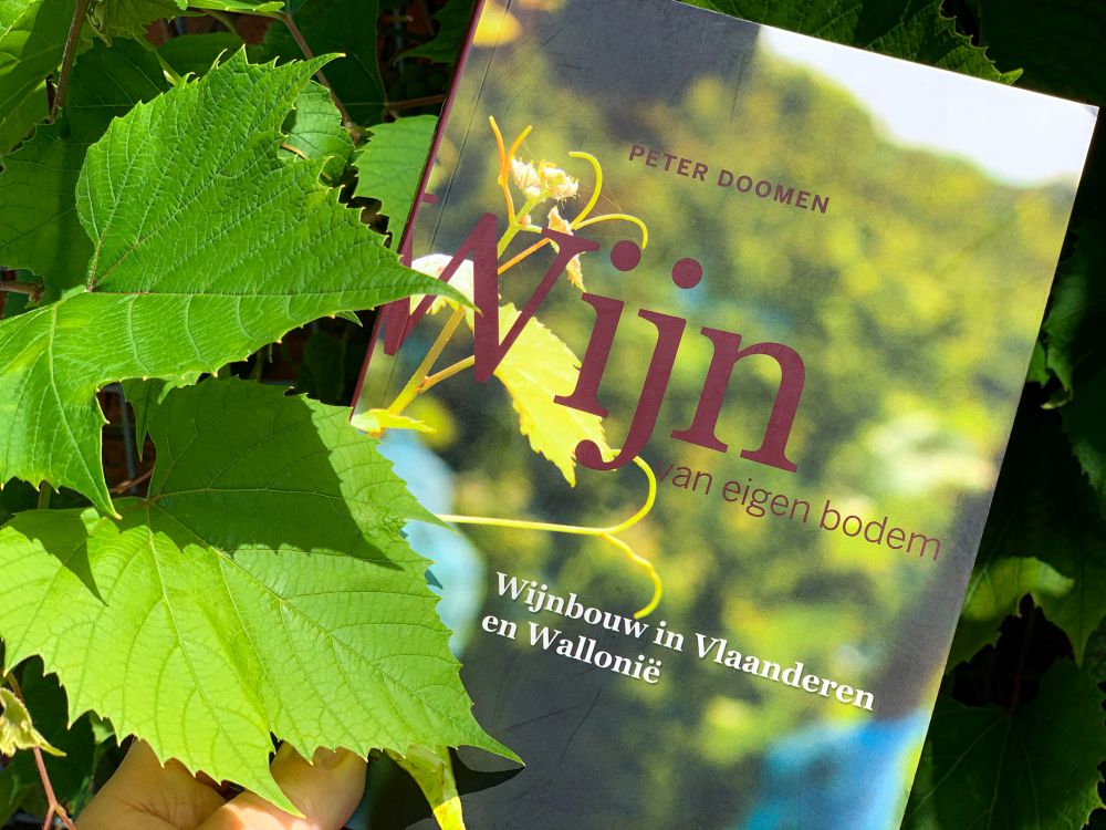 Peter Doomen – wijn van eigen bodem Peter Doomen - wijn van eigen bodem
