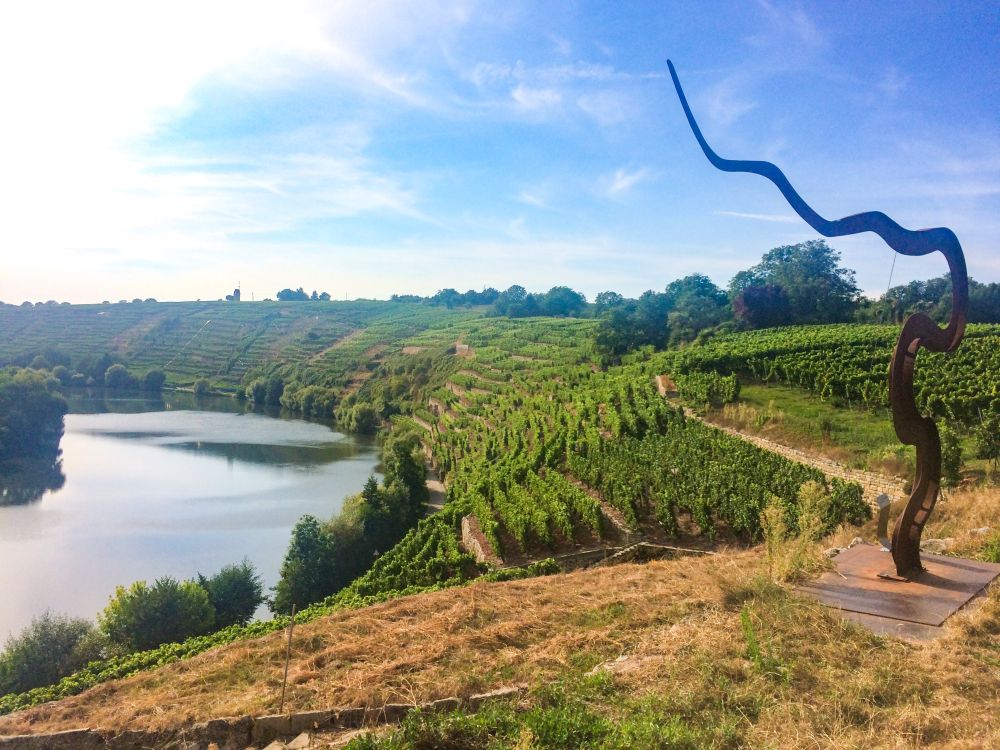 Weinterrasse Kirchheim am Neckar Weinterrasse Kirchheim am Neckar