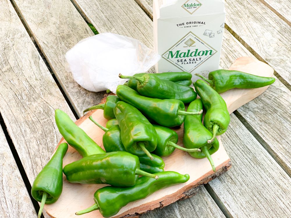 pimientos de Padrón met zeezout pimientos de Padrón met zeezout