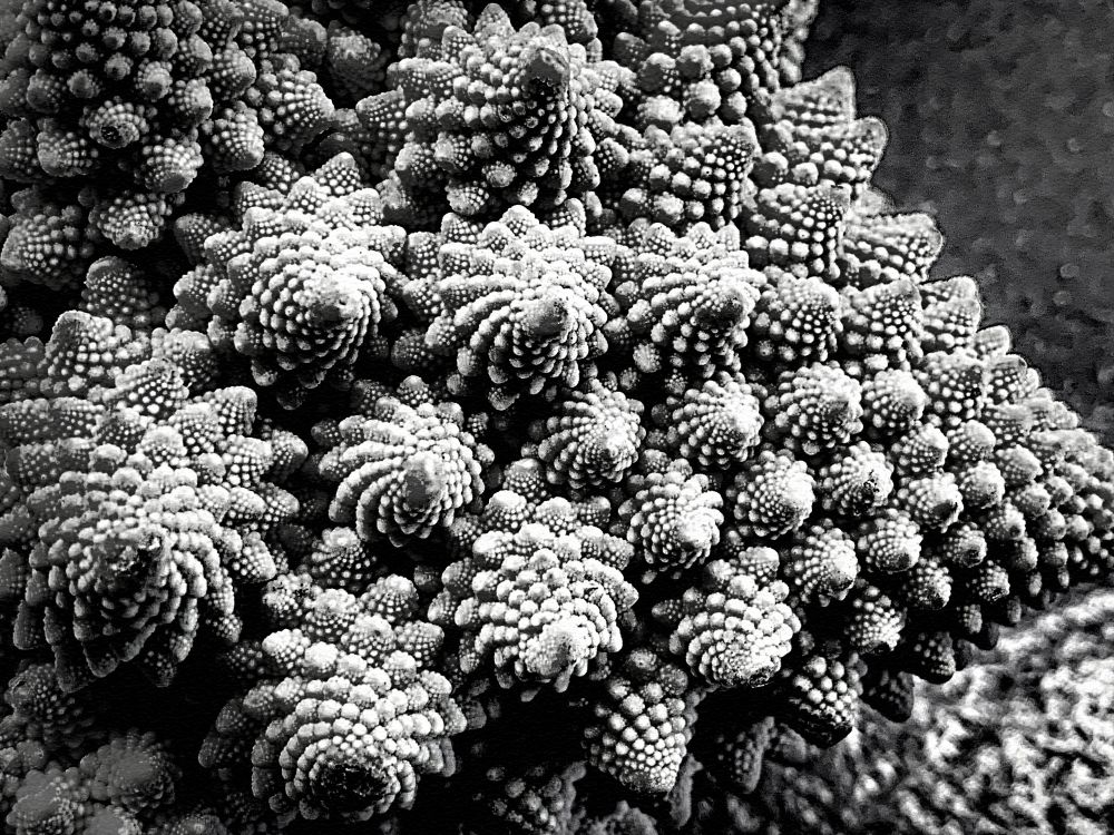 Prachtige structuur van de romanesco Prachtige structuur van de romanesco